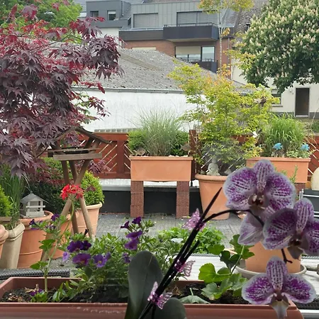 43 Appartement Trier